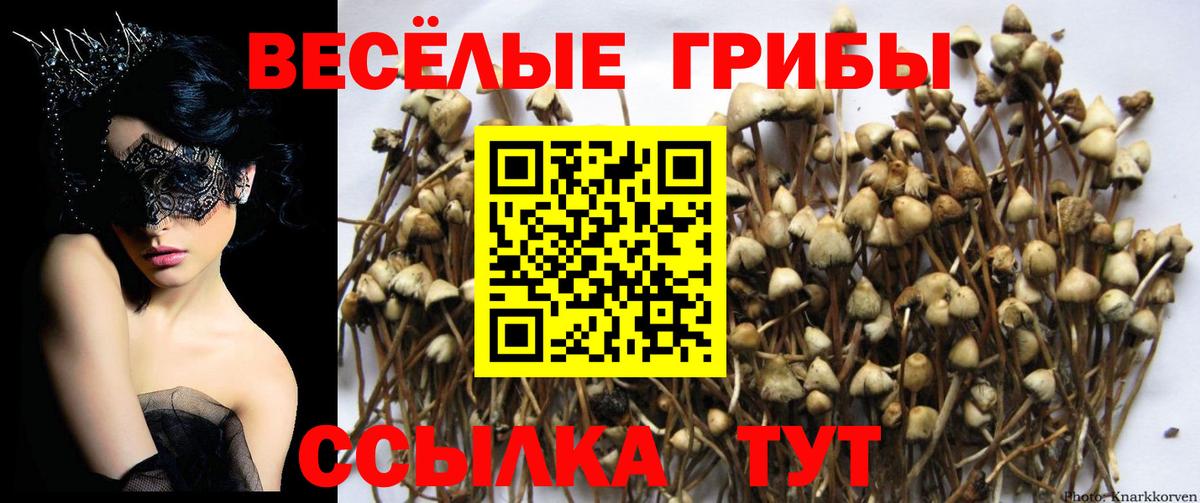 Псилоцибиновые грибы мухоморы Унеча